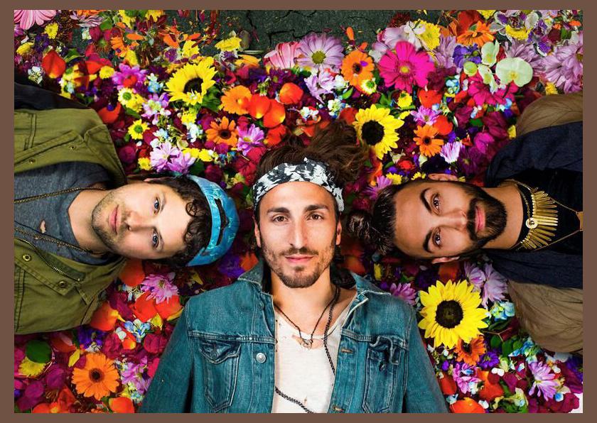 Magic Giant